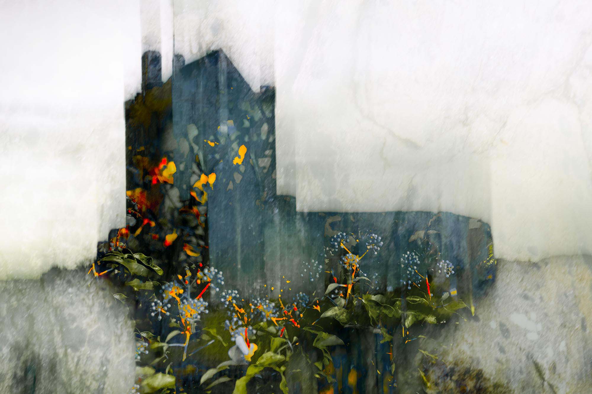 © Renee Lynn
