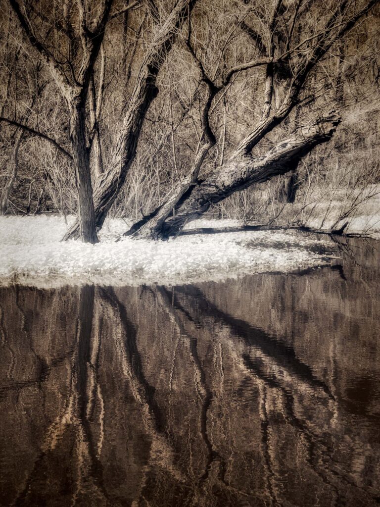 © Shelley Vandegrift