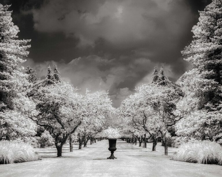 © Shelley Vandegrift