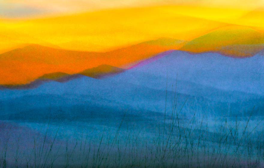 © Renee Lynn