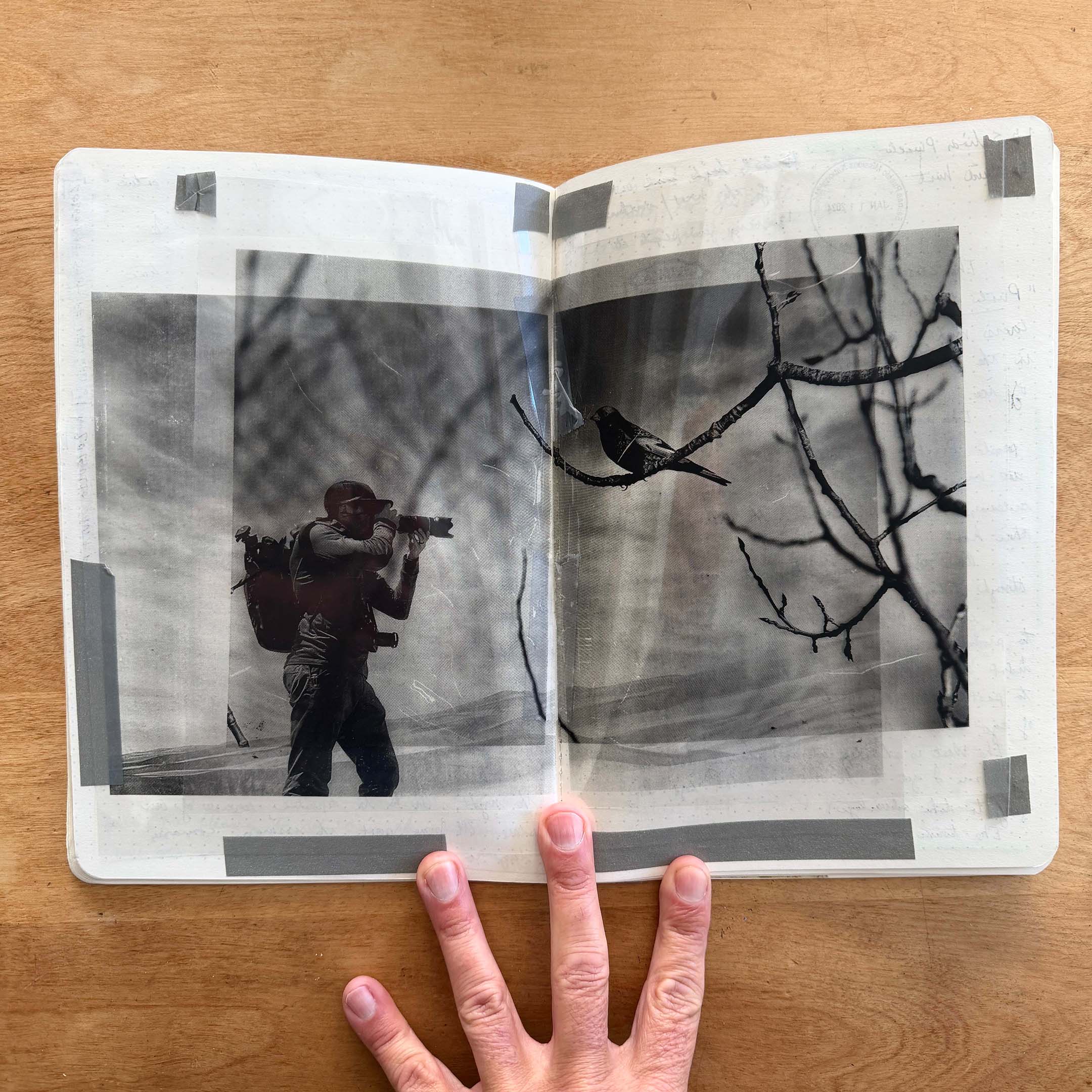 © Dan Milnor
