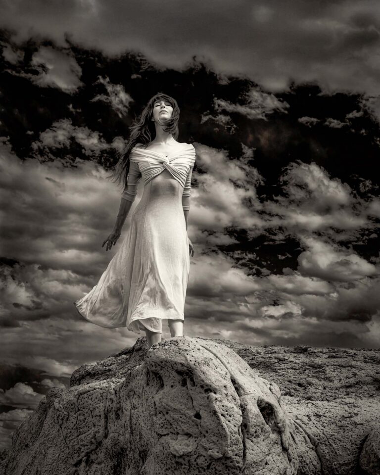 © Shelley Vandegrift