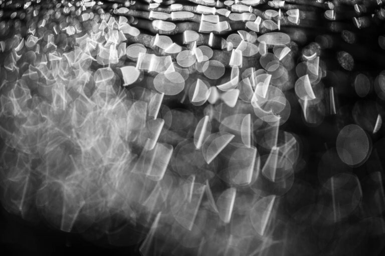 © Eddie Soloway