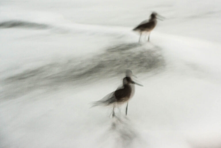 © Eddie Soloway