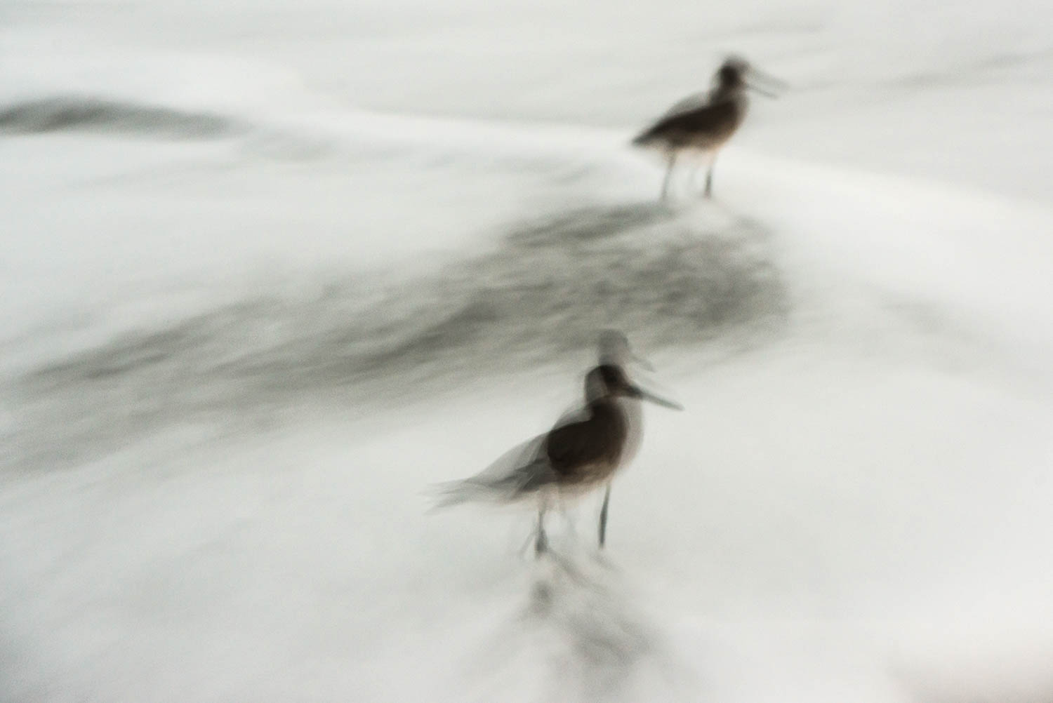 © Eddie Soloway