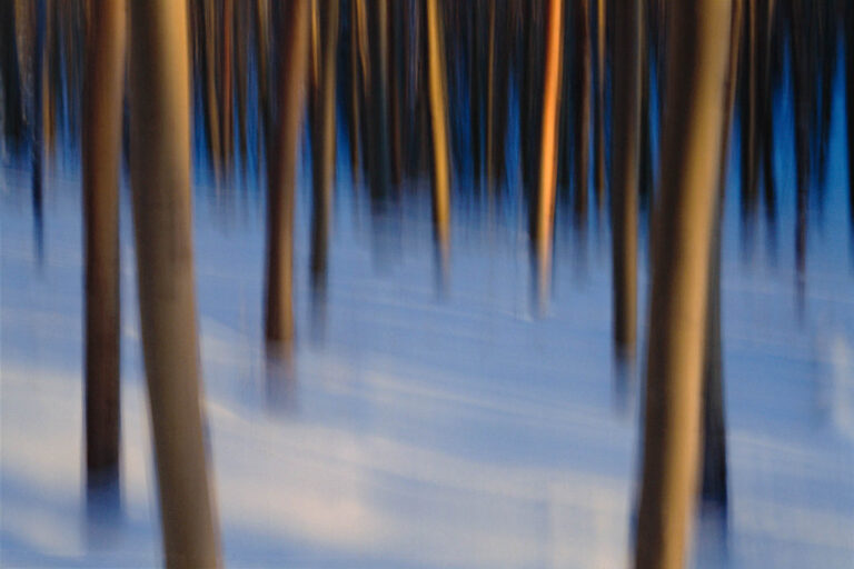 © Eddie Soloway