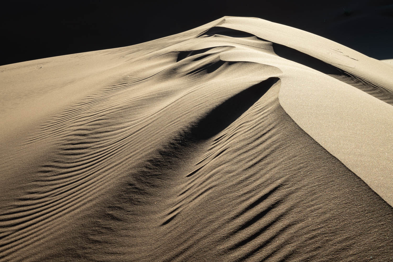 © Eddie Soloway
