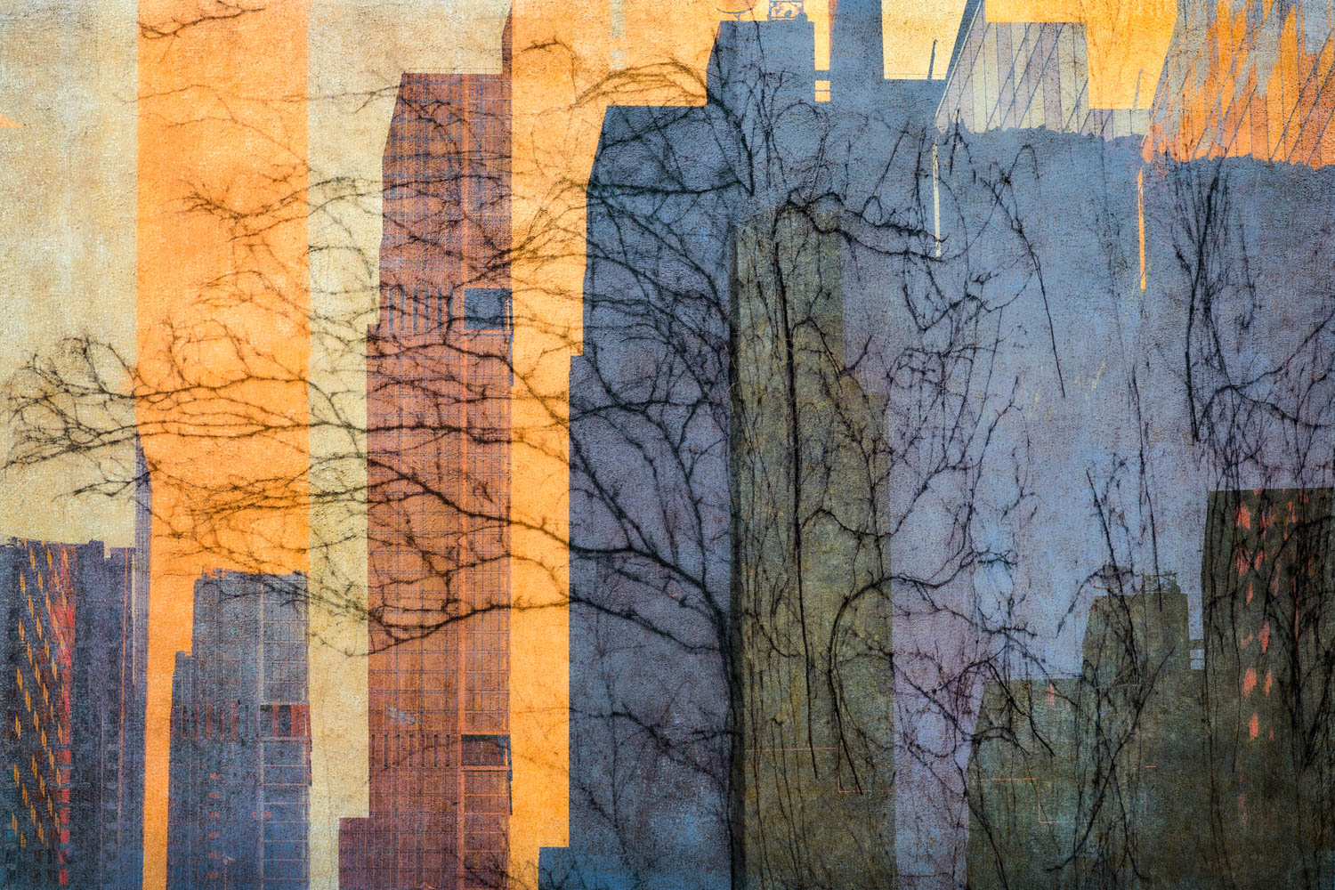 © Renee Lynn