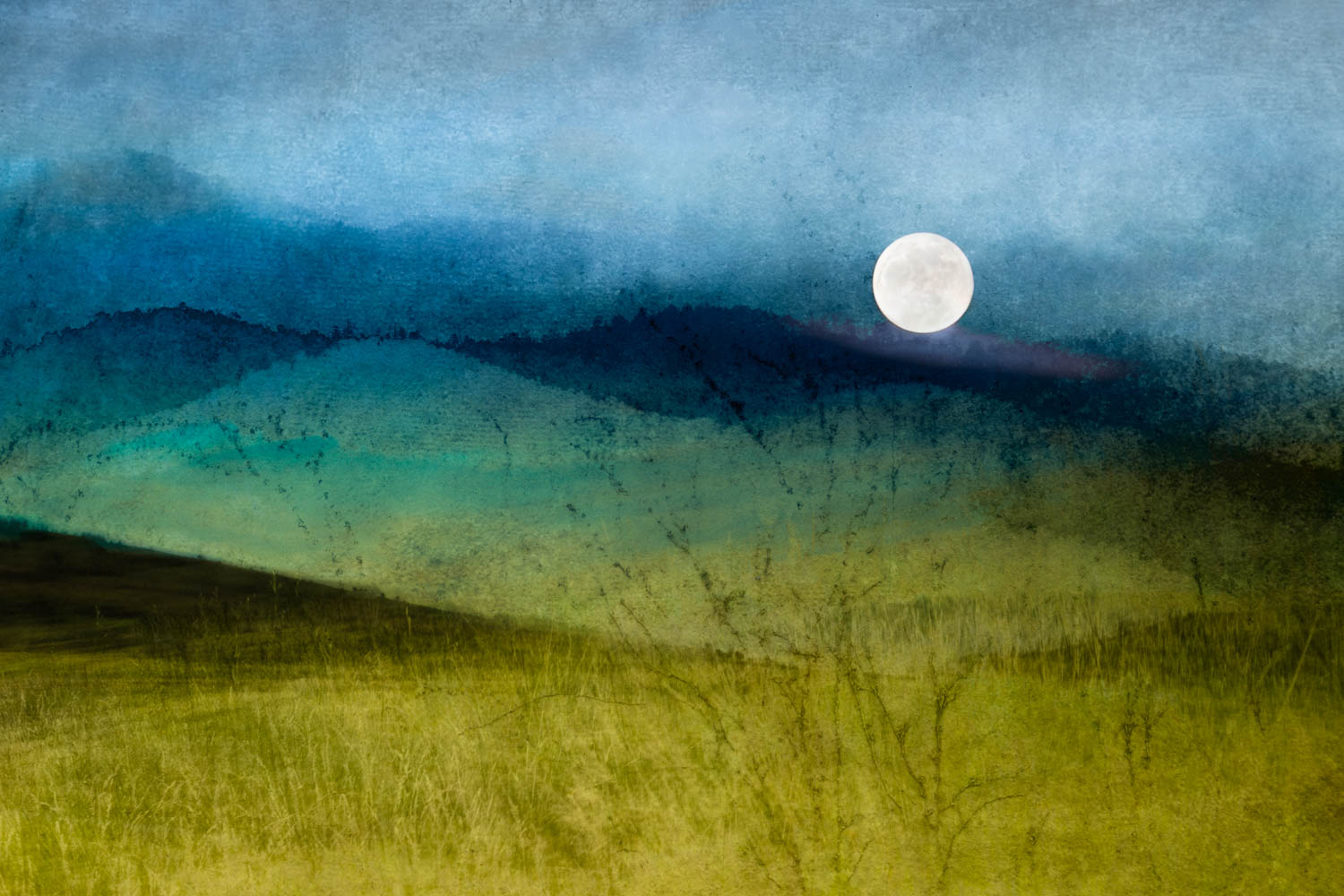 © Renee Lynn
