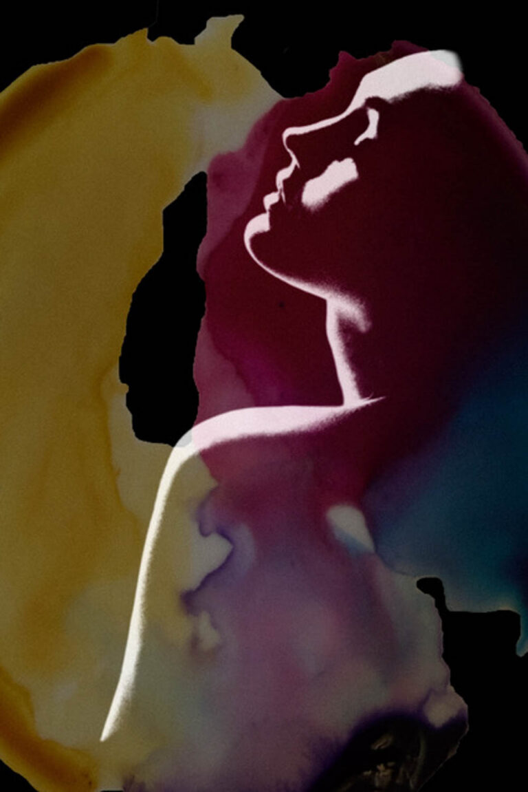 © Shelley Vandegrift