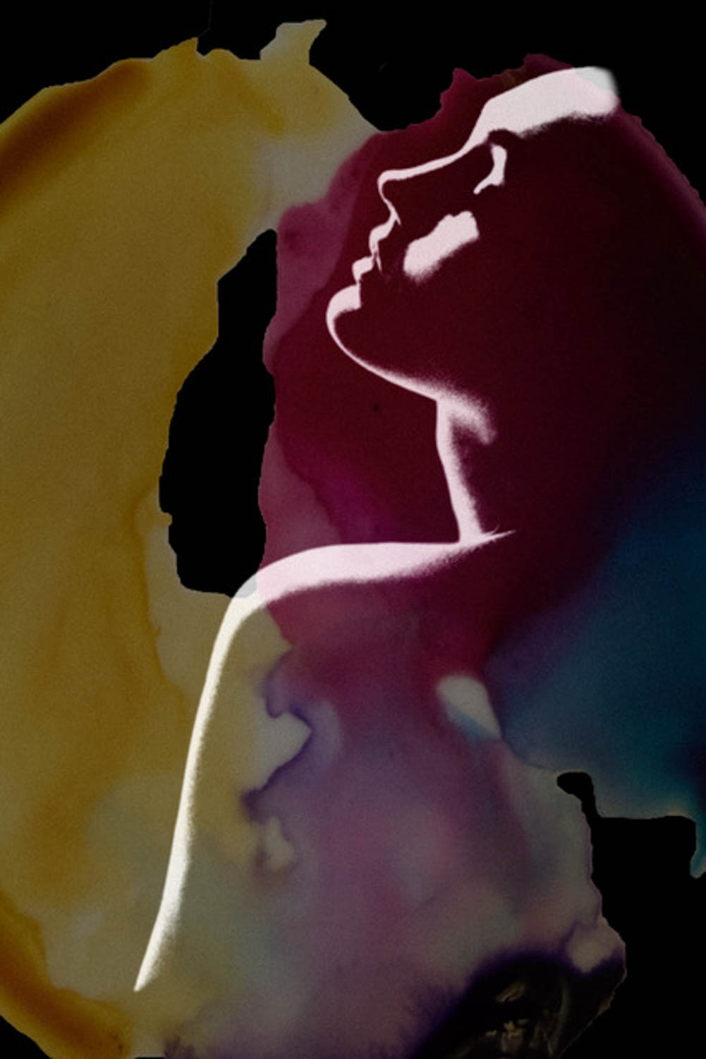 © Shelley Vandegrift