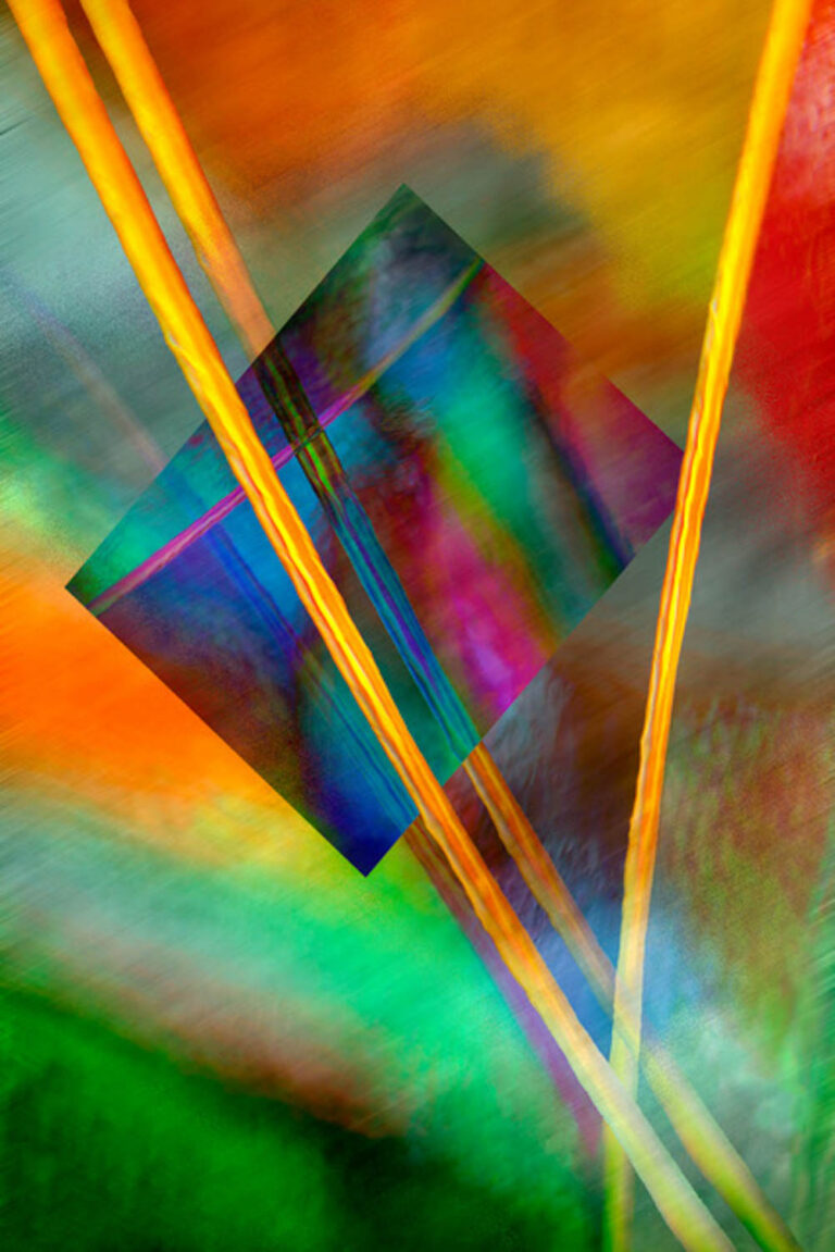 © Shelley Vandegrift