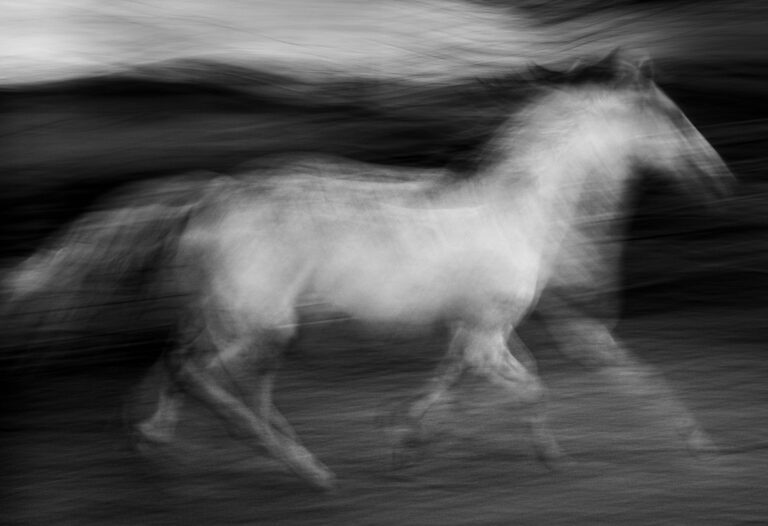 © Sophia Wasteneys