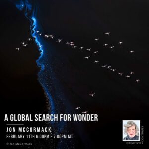 A global search for wonder with Jon McCormack