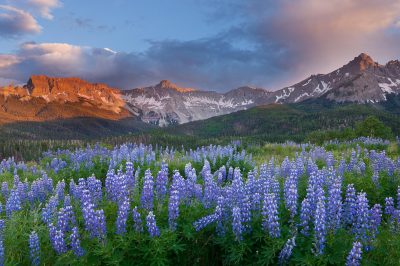 © Glenn Randall