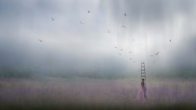 © Carly Sullens