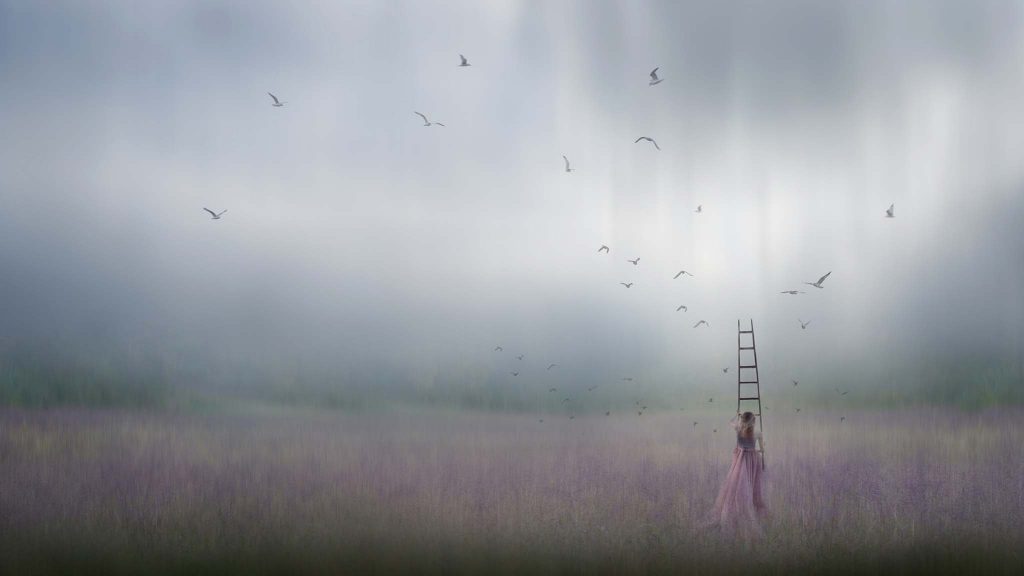 © Carly Sullens