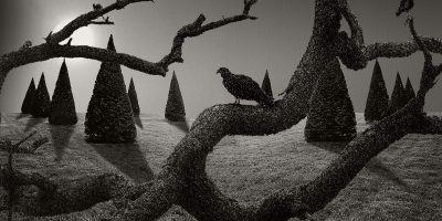 © Dan Burkholder