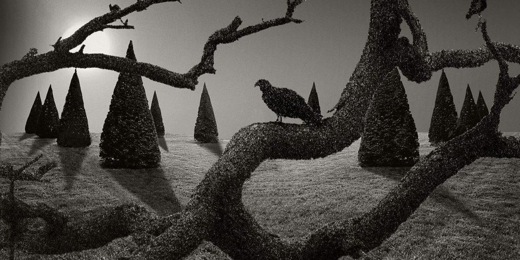 © Dan Burkholder