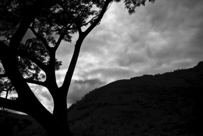 © Carlan Tapp