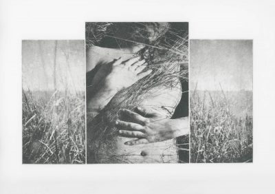© Julia C. Martin