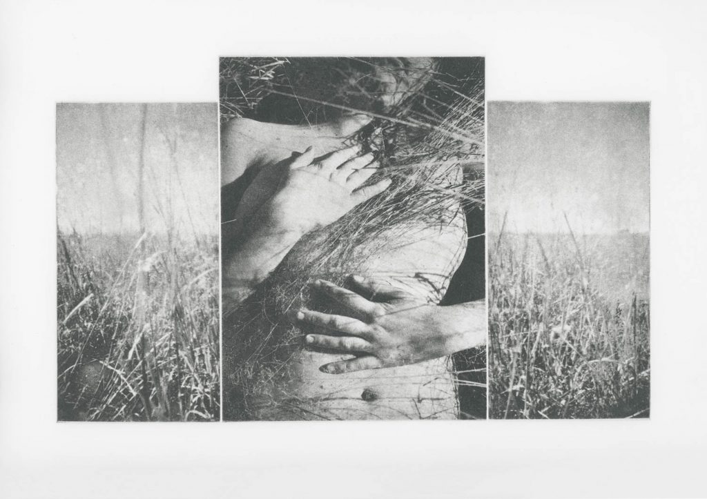 © Julia C. Martin
