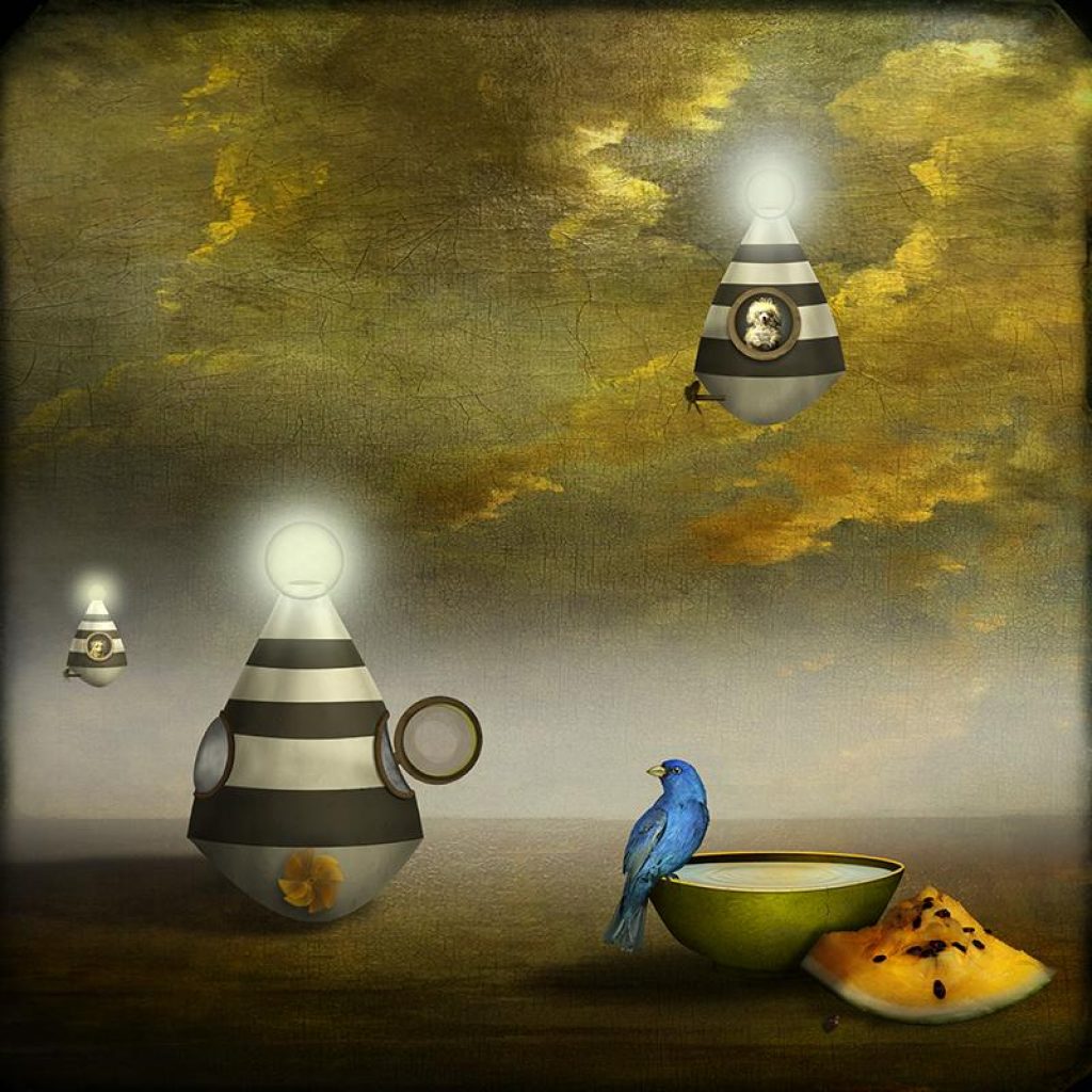 © Maggie Taylor
