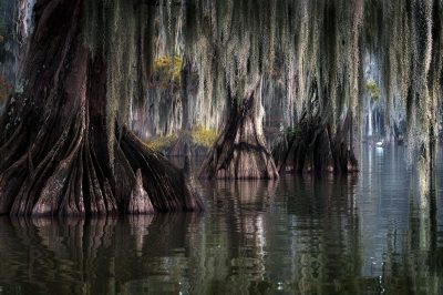 © Rick Berk
