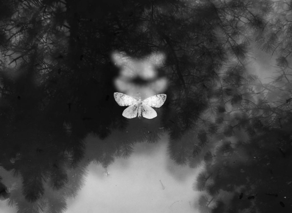 © Sophia Wasteneys