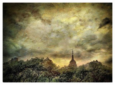 © Dan Burkholder