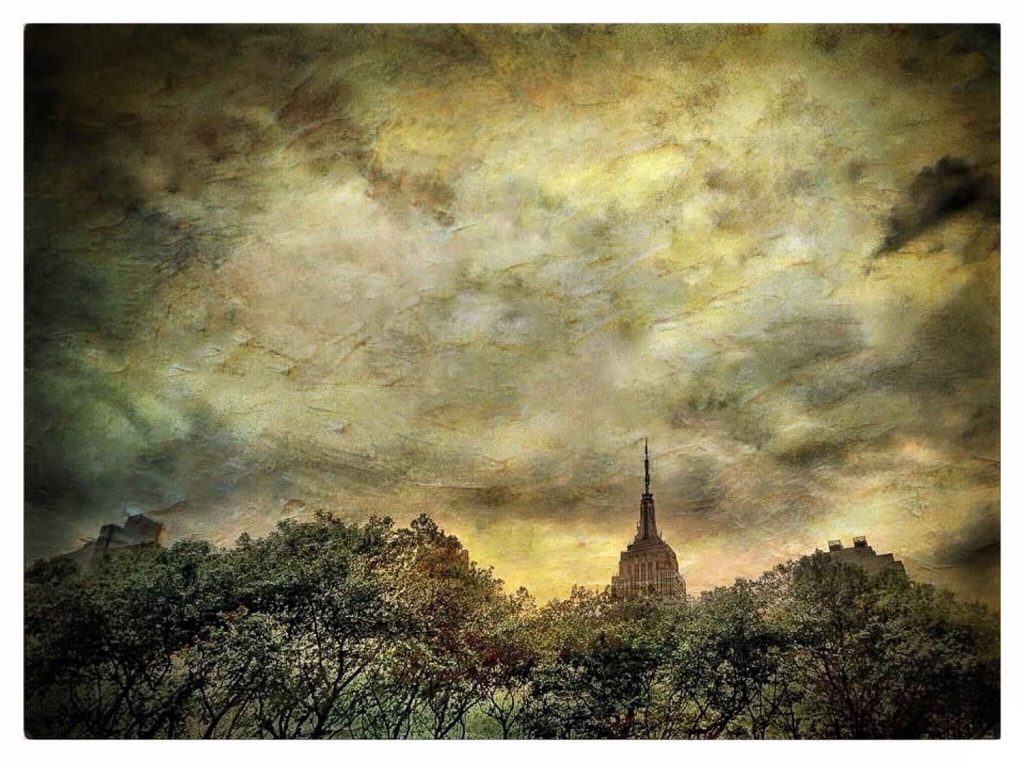 © Dan Burkholder