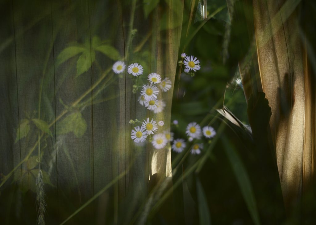 © Manuela Thames