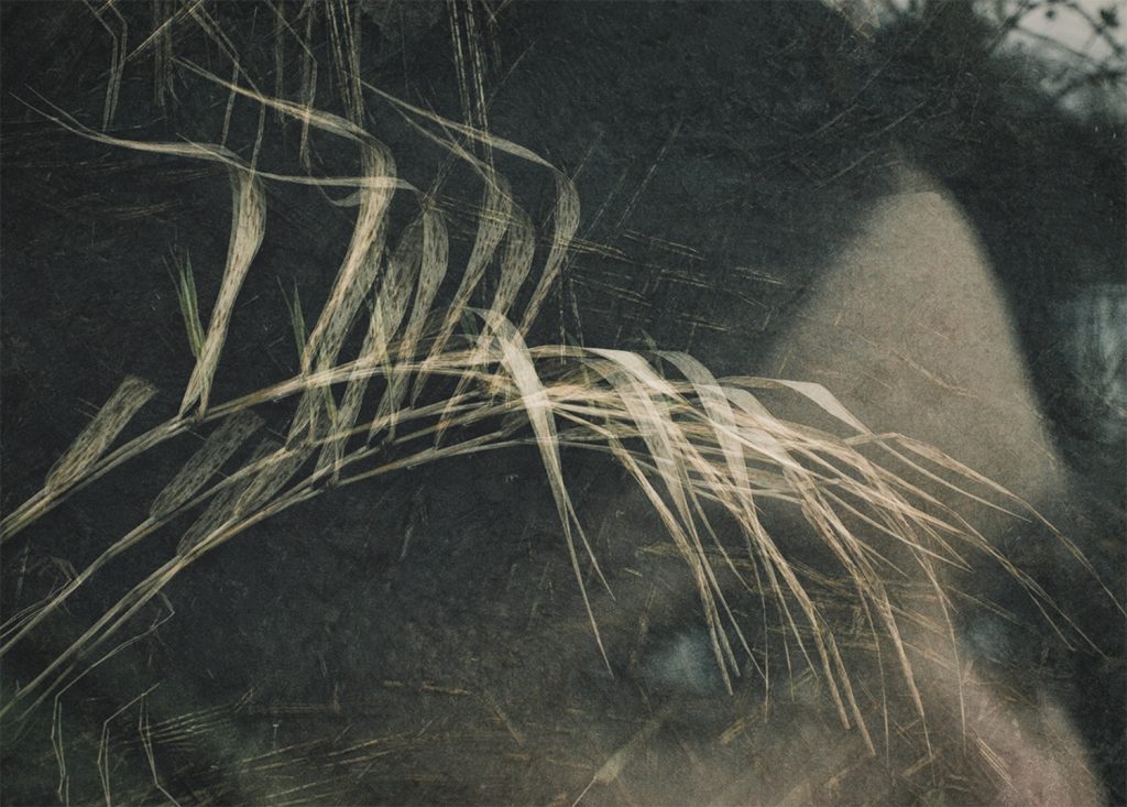 © Manuela Thames