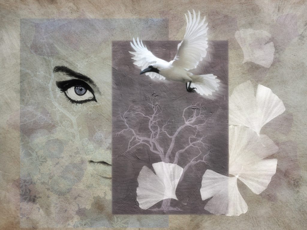 © Shelley Vandegrift