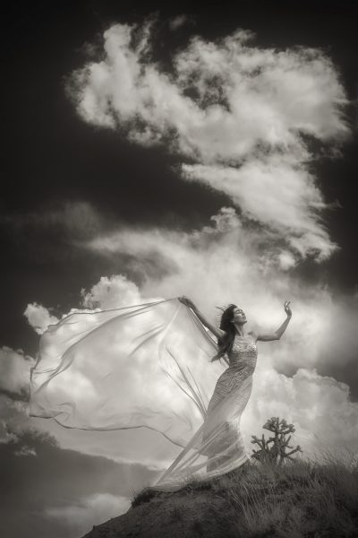 © Shelley Vandegrift