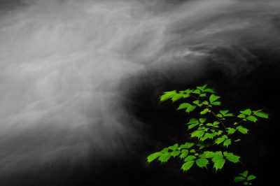 © Xuan-Hui Ng
