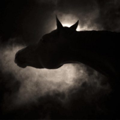 © Keith Carter