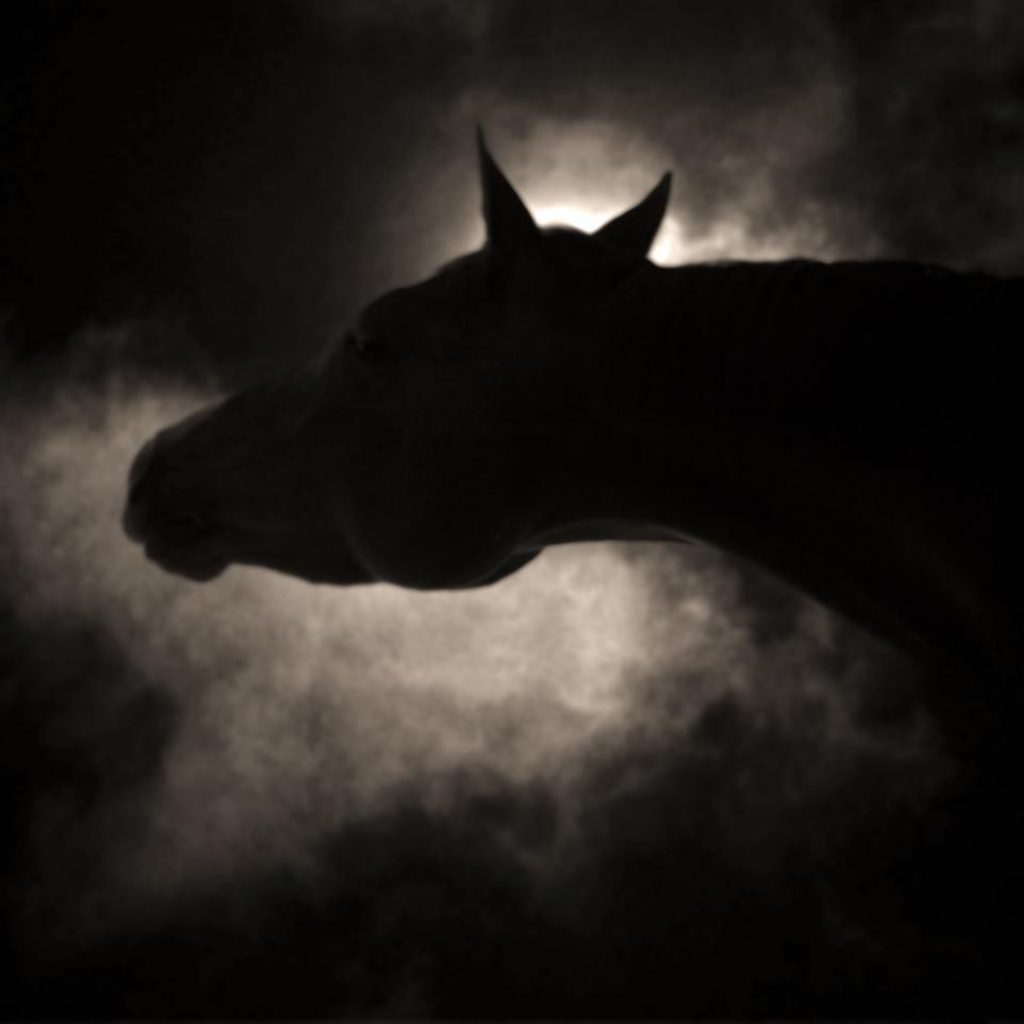 © Keith Carter