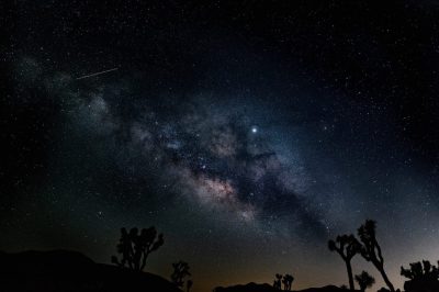© Philip Cuenco