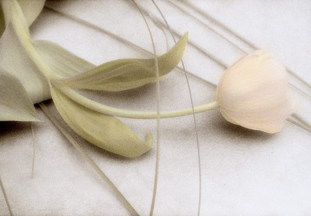 © Laurie Klein