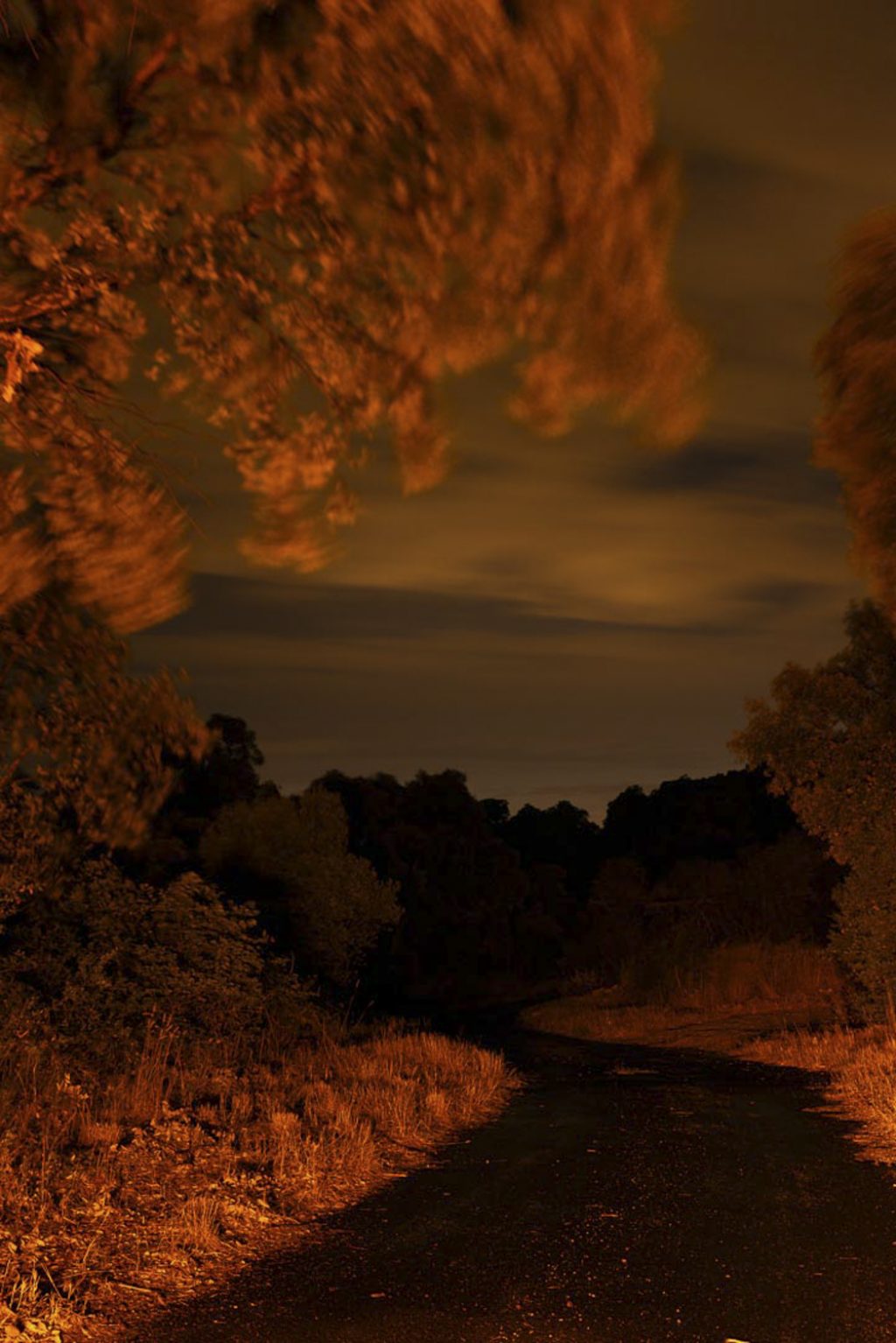 © Todd Hido
