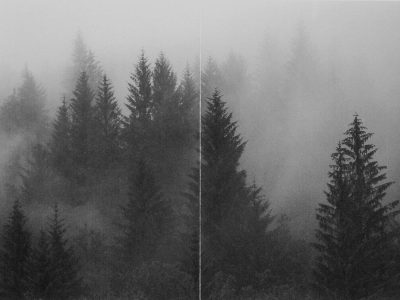© Al Brydon