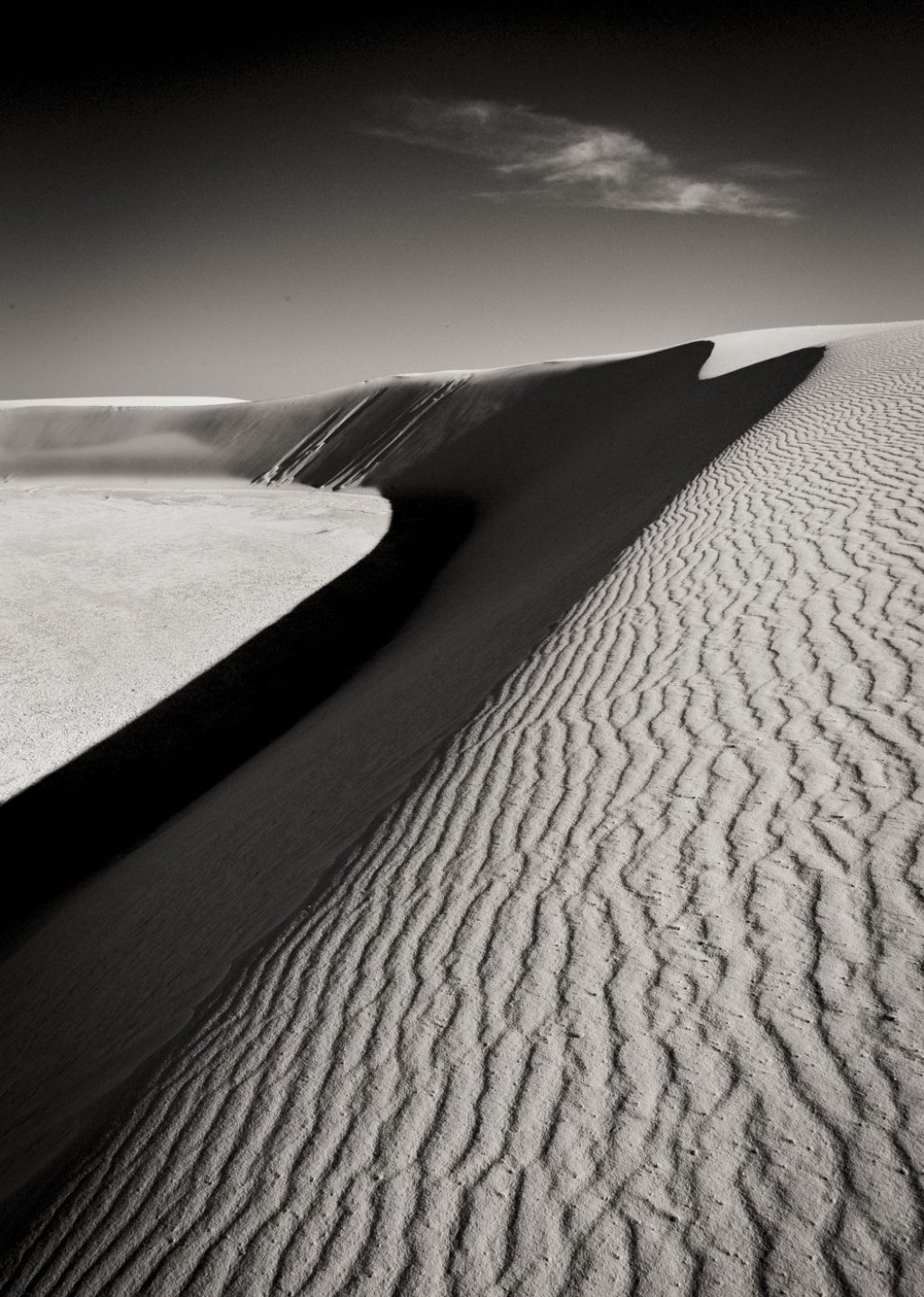 © Tony Bonanno
