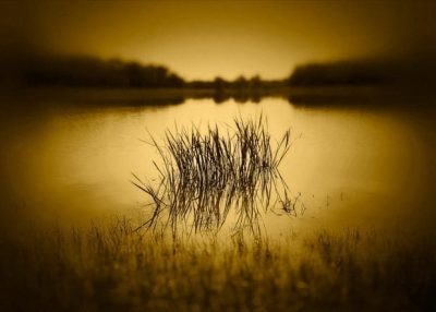 © Dan Burkholder
