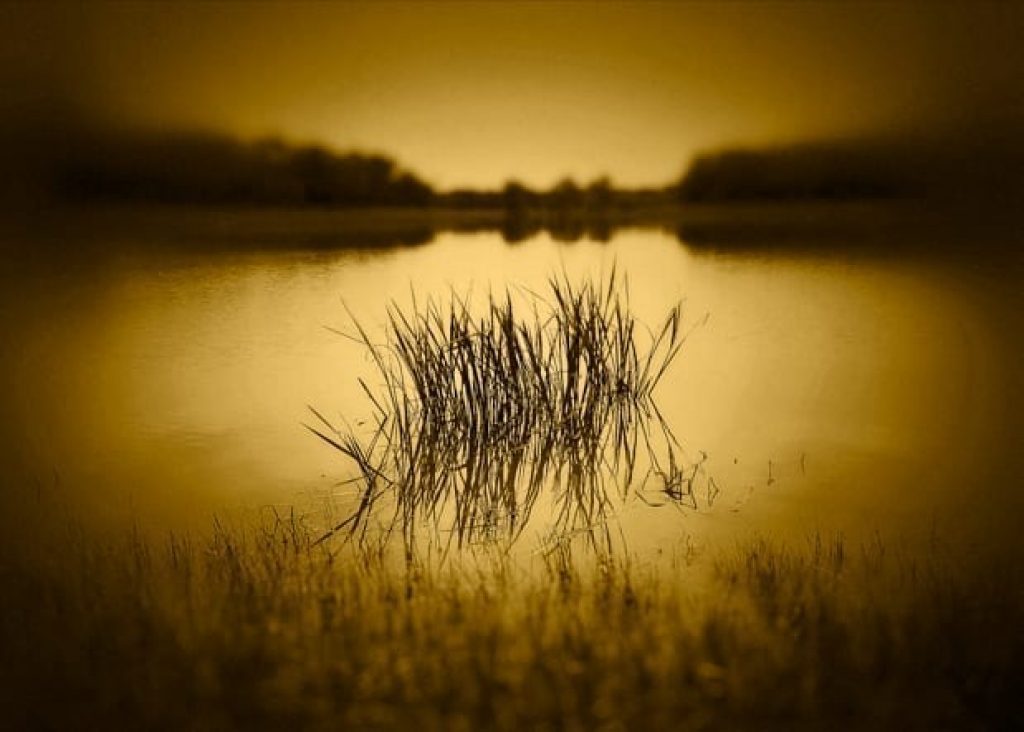 © Dan Burkholder
