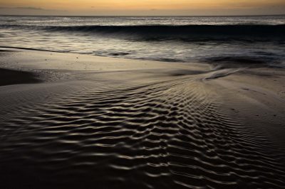© Eddie Soloway