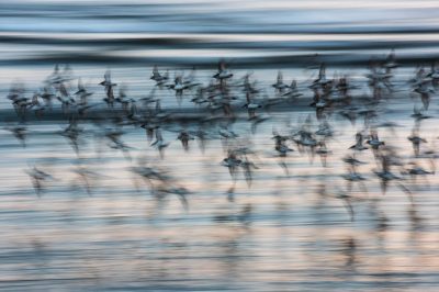 © Eddie Soloway