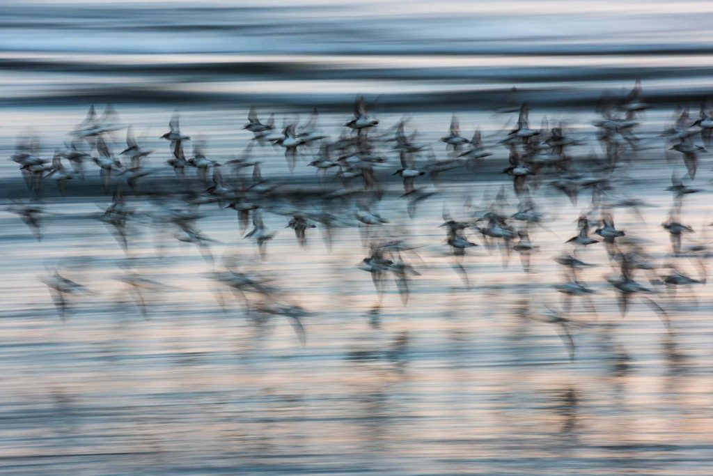 © Eddie Soloway