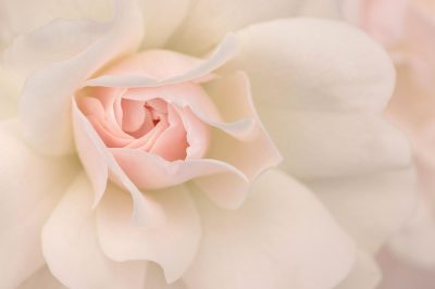© Kathleen Clemons