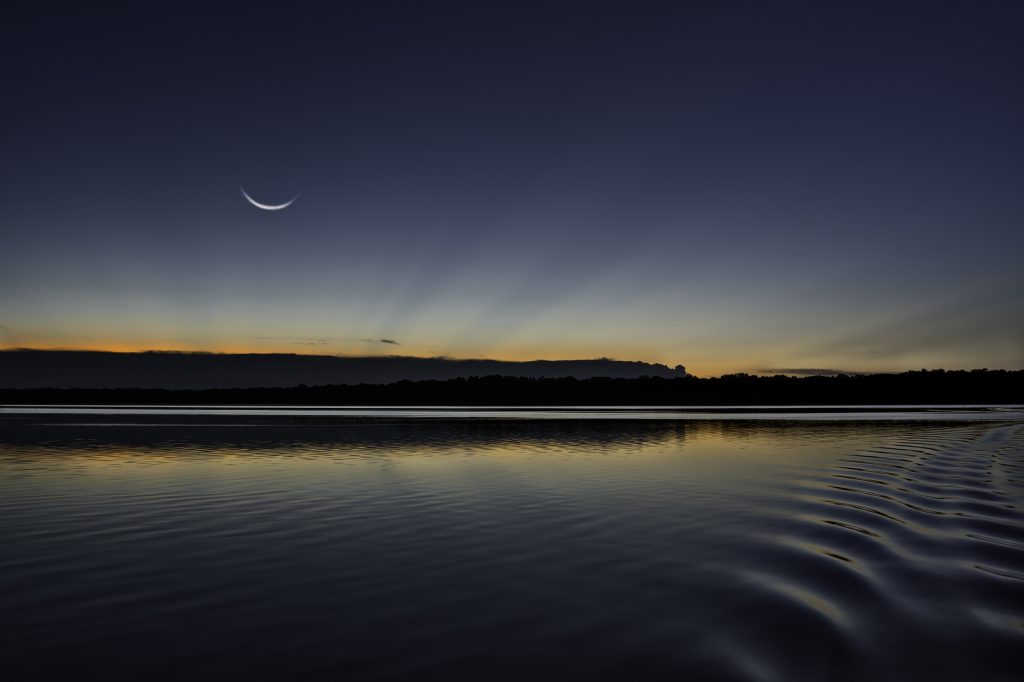 © R. Mac Holbert